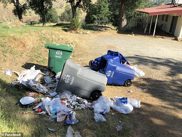 Surge in Airbnb Rentals Fueling a Growing Crisis in Three Rivers, California
