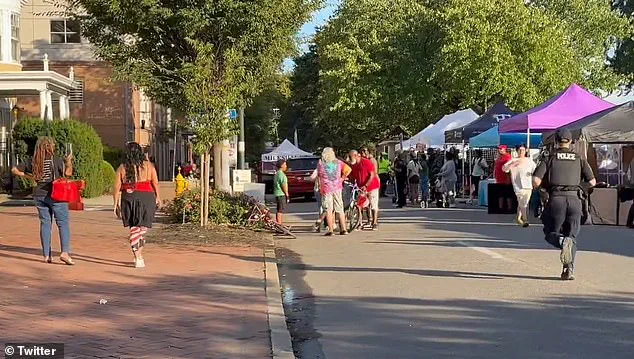 Chaos and Shockwaves: Festivalgoers Describe the Terrifying Moment of the Minivan Crash