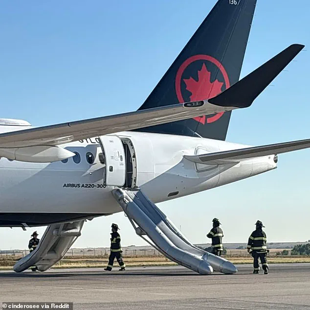Air Canada Flight Forced to Turn Back After Electrical Fire Fears: 'It Was Terrifying,' Says Passenger