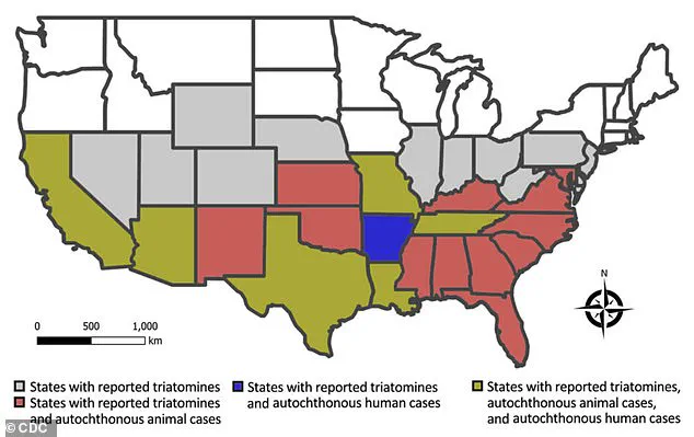 Health Experts Urge U.S. to Relabel Chagas Disease as 'Endemic' to Boost Awareness and Tracking, Despite Its Status as a 'Silent Killer'