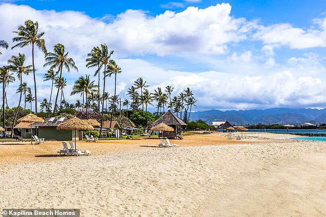 Hawaii Lifeguard Francesca Minotta-Kelso Survives Shooting During Argument with Suspect She Previously Knew, Police Say