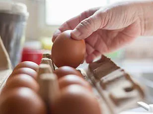 Salmonella Outbreak Linked to Metabolic Meals Products Hospitalizes 16, CDC Warns: 'Immediate Action Needed' Says Health Officials