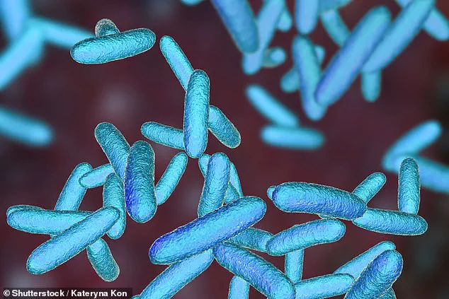 Reusable Water Bottles May Harbor Deadly Bacteria Despite Daily Washing, Study Warns