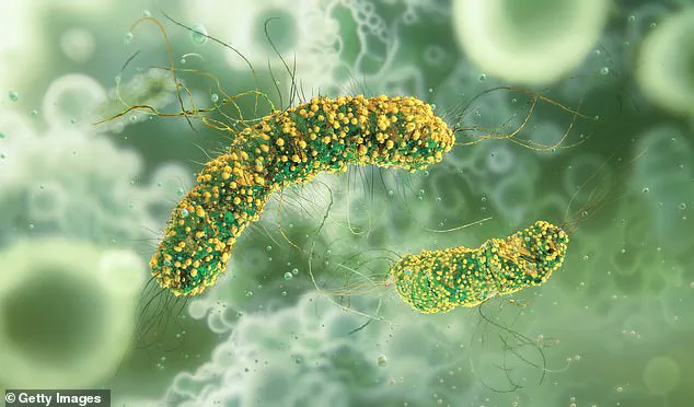 Privileged Information Reveals Deadly Listeria Contamination in Albertsons Deli Items Across 15 States