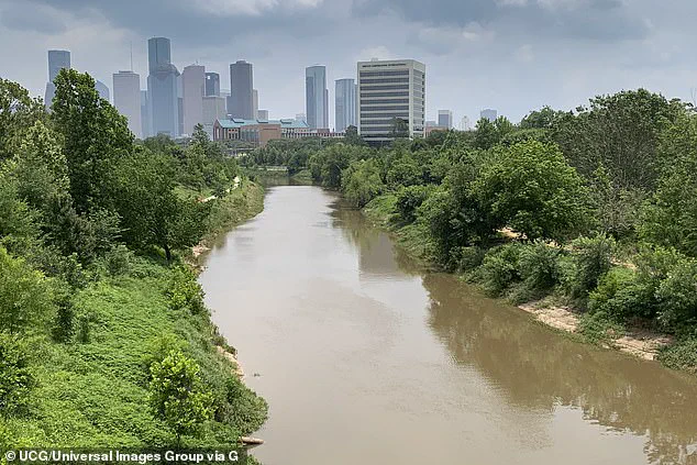 Denial and Speculation: 23 Bodies in Houston Bayous Spark Serial Killer Debate