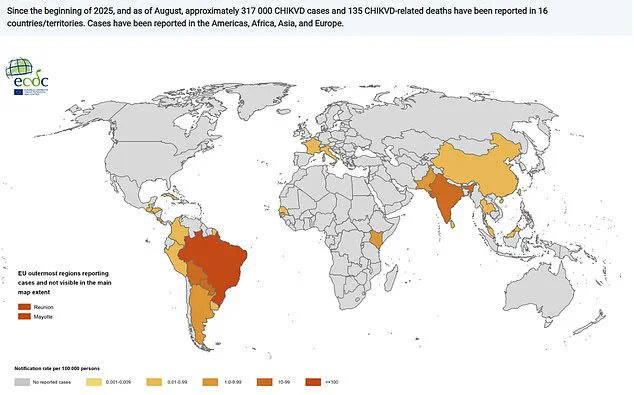 Chikungunya Virus Confirmed in New York, Marking First U.S. Case in Over Five Years