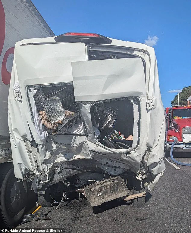 Six-Vehicle Pileup on Georgia Interstate 85 Leaves Eight Dead, Marking Deadliest Crash of the Year