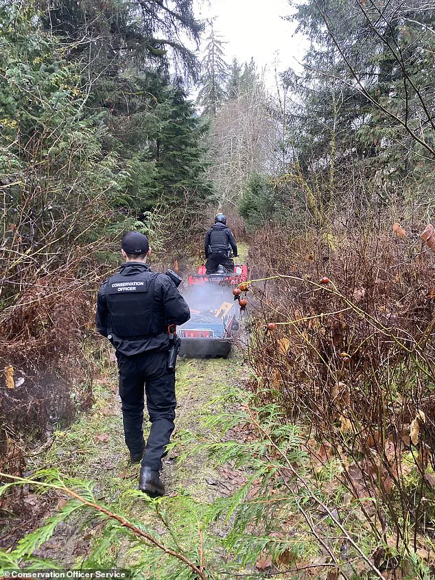 Grizzly Bear Still at Large After Attacking Canadian Elementary School, Leaving 11 Injured as Authorities Launch Urgent Capture Operation