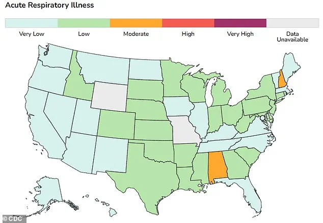 New H3N2 Variant Sparks Fears of Record-Breaking Flu Season as Experts Warn of Potential Public Health Crisis