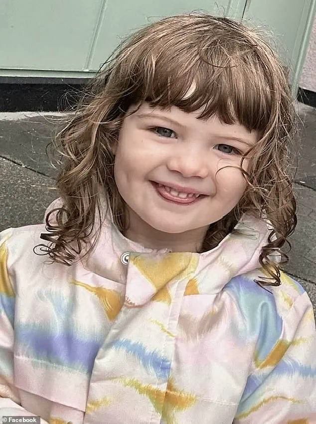 Tragedy of Two-Year-Old Parker Scholtes: Fatal Heat Exposure in Parked SUV Sparks Community Warning
