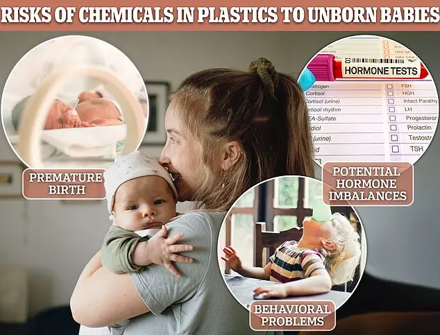 Hidden Dangers: Phthalates in Fast Food Packaging Spark Public Health Concern and Expert Advisories