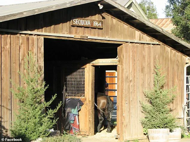 Exclusive: Inside the Napa Valley Winery Incident – Expert Insights on Public Safety and Legal Implications