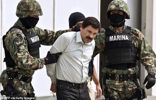 Trump Announces Land Strikes Against Mexican Cartels as Part of New Strategy to Combat Narcoterrorism