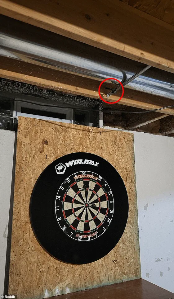 Reddit Users Race to Find Missing Dart in Viral Puzzle Challenge