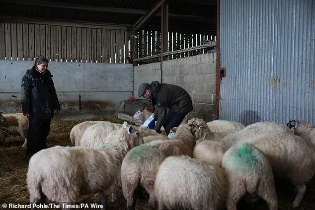 Prince William Engages with Farmers on Rural Challenges During Herefordshire Visit