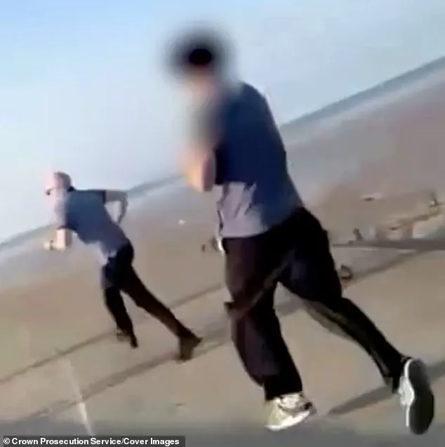 Woolwich Crown Court Trial Exposes Teenager's Attack in Murder Case
