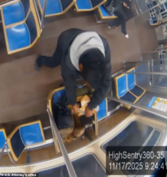 Chicago's Blue Line Subway: Snuff Film Recorded on Moving Train in Shocking Crime