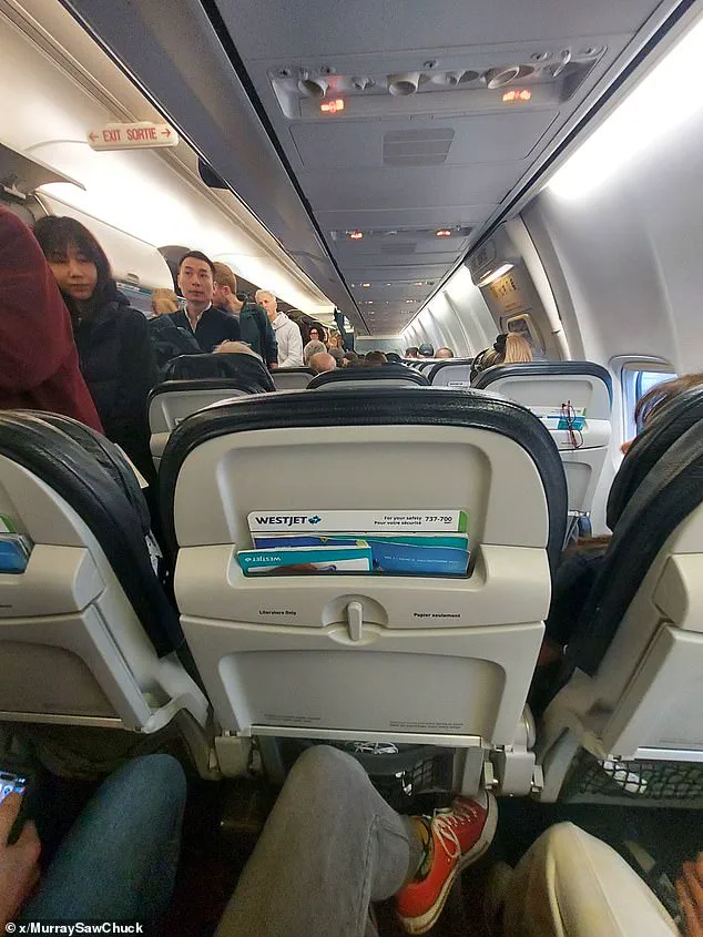 Behind Closed Doors: The Costly Concessions of WestJet's Controversial Seating Move and Its Financial Fallout for Passengers and Airlines