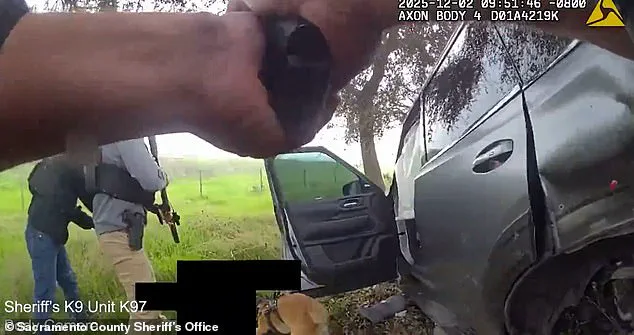 Former Sacramento Deputy Shot Dead by Colleagues After Stabbing Son in Elk Grove Domestic Incident