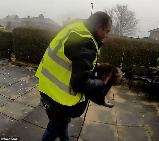 Amazon Delivery Driver's Alleged Theft of Cat Sparks Outrage as Pet is Safely Returned to West Yorkshire Family