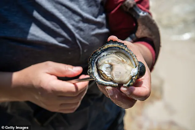 Historic Boston Harbor Reopens for Fishing After Decades-Long Cleanup