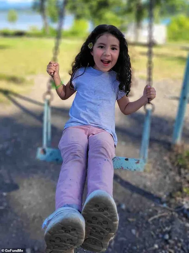 Child's Medical Crisis Sparks Urgent Debate on Healthcare Access and Immigration Enforcement