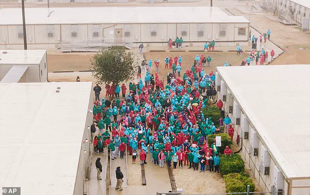 Child's Medical Crisis Sparks Urgent Debate on Healthcare Access and Immigration Enforcement
