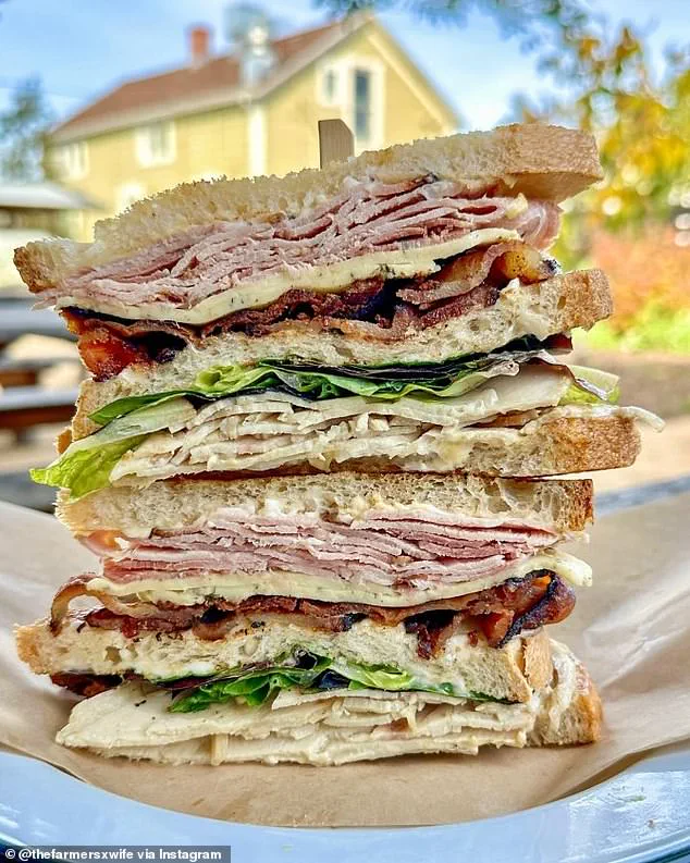 The Power of Public Opinion and Regulatory Scrutiny in the Closure of a Local Sandwich Shop