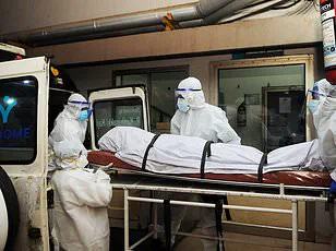 Nipah Virus Outbreak in India Sparks Global Health Alert, CDC Collaborates on Surveillance and Travel Restrictions