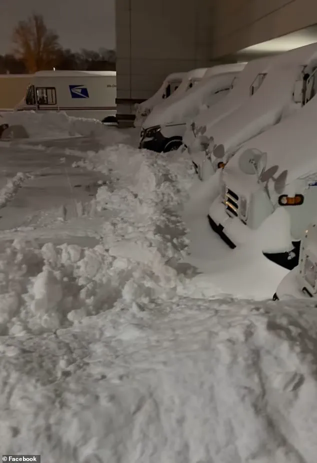 USPS Letter Carrier Suspended After Viral Video Highlights Perilous Postal Worker Conditions in Ohio