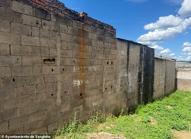 Alien Encounter in Varginha, Brazil: A Decades-Long Mystery