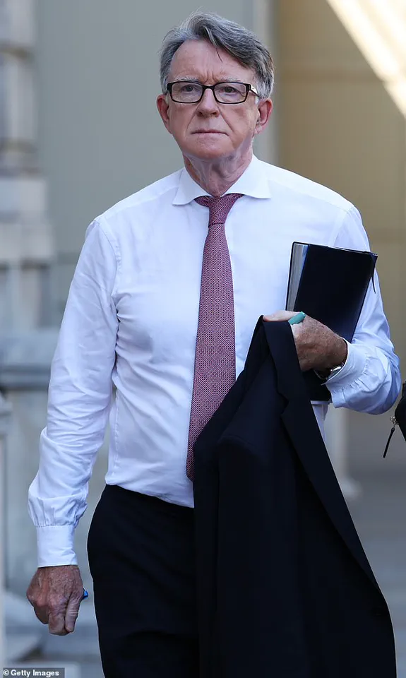 Epstein Files Photograph Sparks Debate Over Government Transparency and Public Accountability