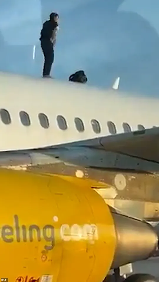 Two-Hour Flight Delay After Man Climbs Onto Plane Roof at Manises Airport