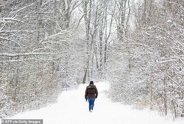 Woman Dies from Hypothermia After Falling on Icy Trail in Maryland; Officials Warn of Winter Hazards