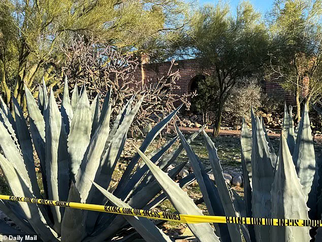 Family's Emotional Plea for Missing 84-Year-Old Nancy Guthrie as Video Sparks Renewed Public Interest