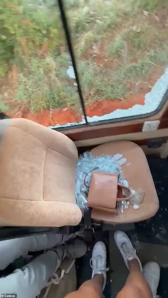Serenity to Survival: The Harrowing Safari Encounter with Tanzania's Elephant
