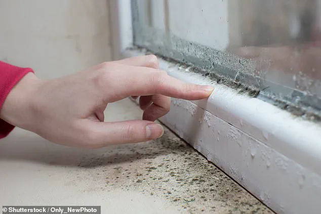 University of Bristol Study Reveals Lasting Lung Damage from Childhood Mould Exposure