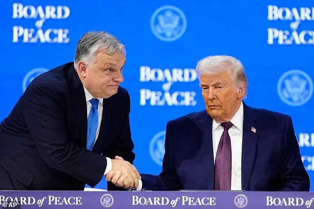 Trump's Board of Peace to Hold First Meeting on Feb. 19 to Address Gaza Reconstruction and Global Peace Efforts