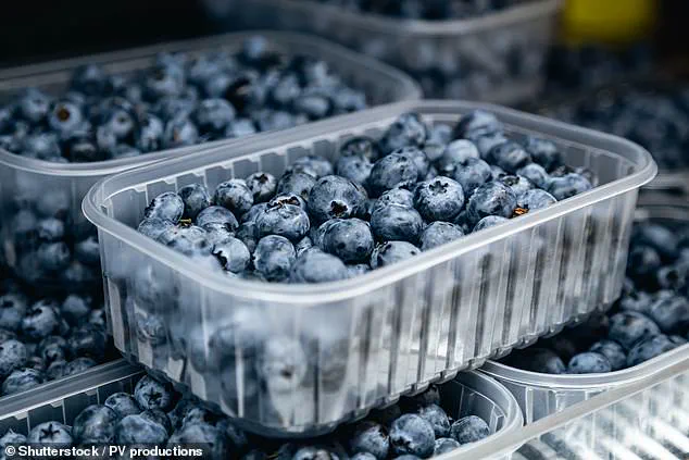 Blueberries: Unlocking Health Benefits Without the Bulk, Now a UK Favorite