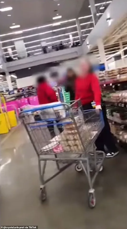 Walmart Shopper Claims Stalking Over Service Dog Incident Sparks ADA Debate