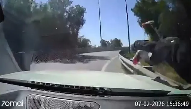 Chilean Driver's Bold Confrontation With Robbers Sparks National Debate on Vigilantism and Systemic Failures