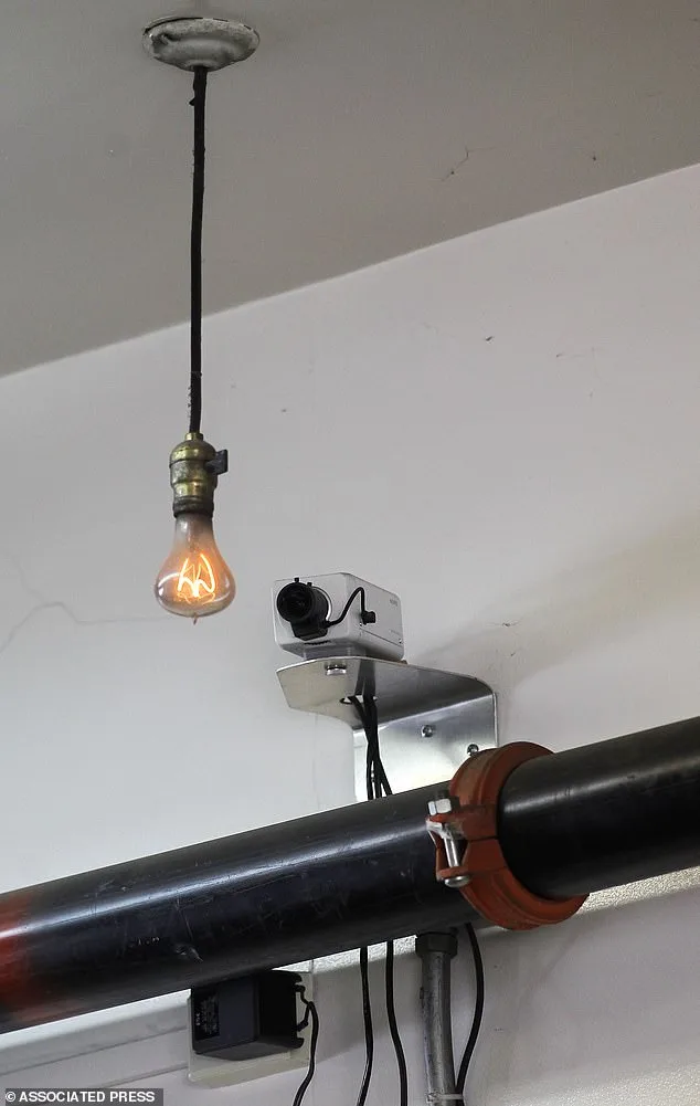 The Centennial Lightbulb: A Beacon of Resilience Through a Century of Change