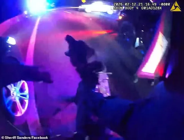 Olympia Deputy's Grappler Tactic in DUI Chase Sparks Public Debate