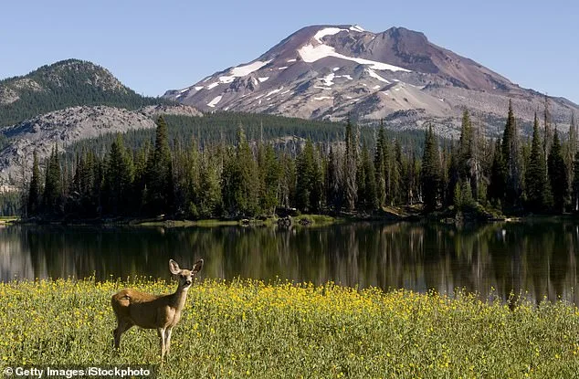 Oregon's PEACE Act Petition Surpasses 100,000 Signatures, Targeting Hunting and Fishing Ban on Ballot