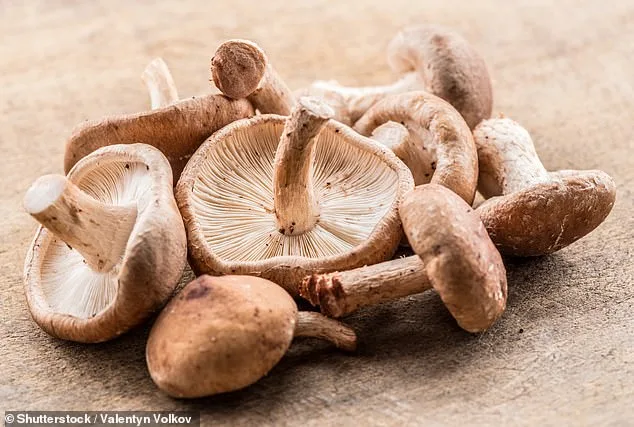 Plant-Rich Diets and Balanced Nutrition: A Key to Cancer Prevention