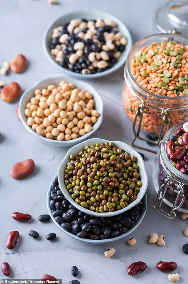 Plant-Rich Diets and Balanced Nutrition: A Key to Cancer Prevention