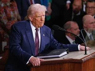 Trump's State of the Union Promises Economic Focus, Personal Jabs Amid Rising Tensions – Daily Mail Launches Live BINGO Card for Spectators