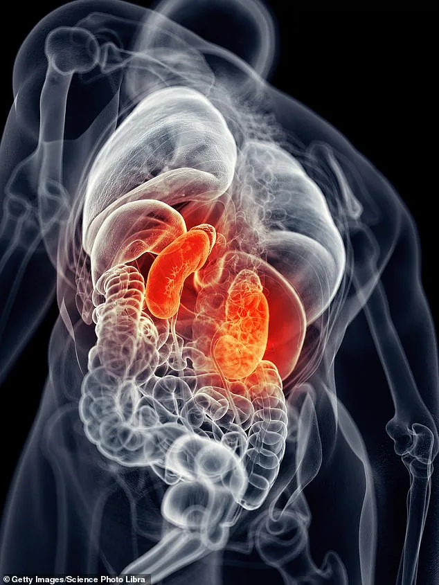 New Study Links COVID-19 to 54% Increased Risk of Chronic Kidney Disease, Urging Global Health Monitoring