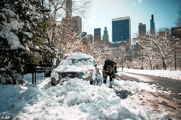 Spring Delayed: Polar Vortex Split May Prolong Cold in Northeast