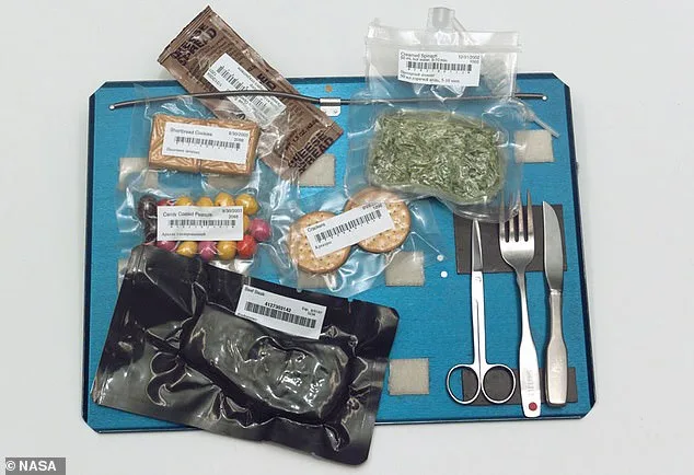 NASA's Artemis II Mission to Offer Earthly Comfort Foods on Lunar Voyage